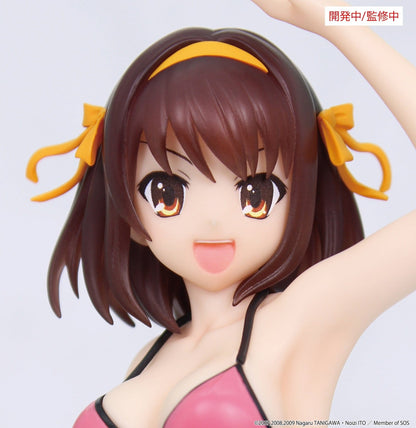 The Melancholy of Haruhi Suzumiya - Haruhi Suzumiya Vivit - System Service Prize