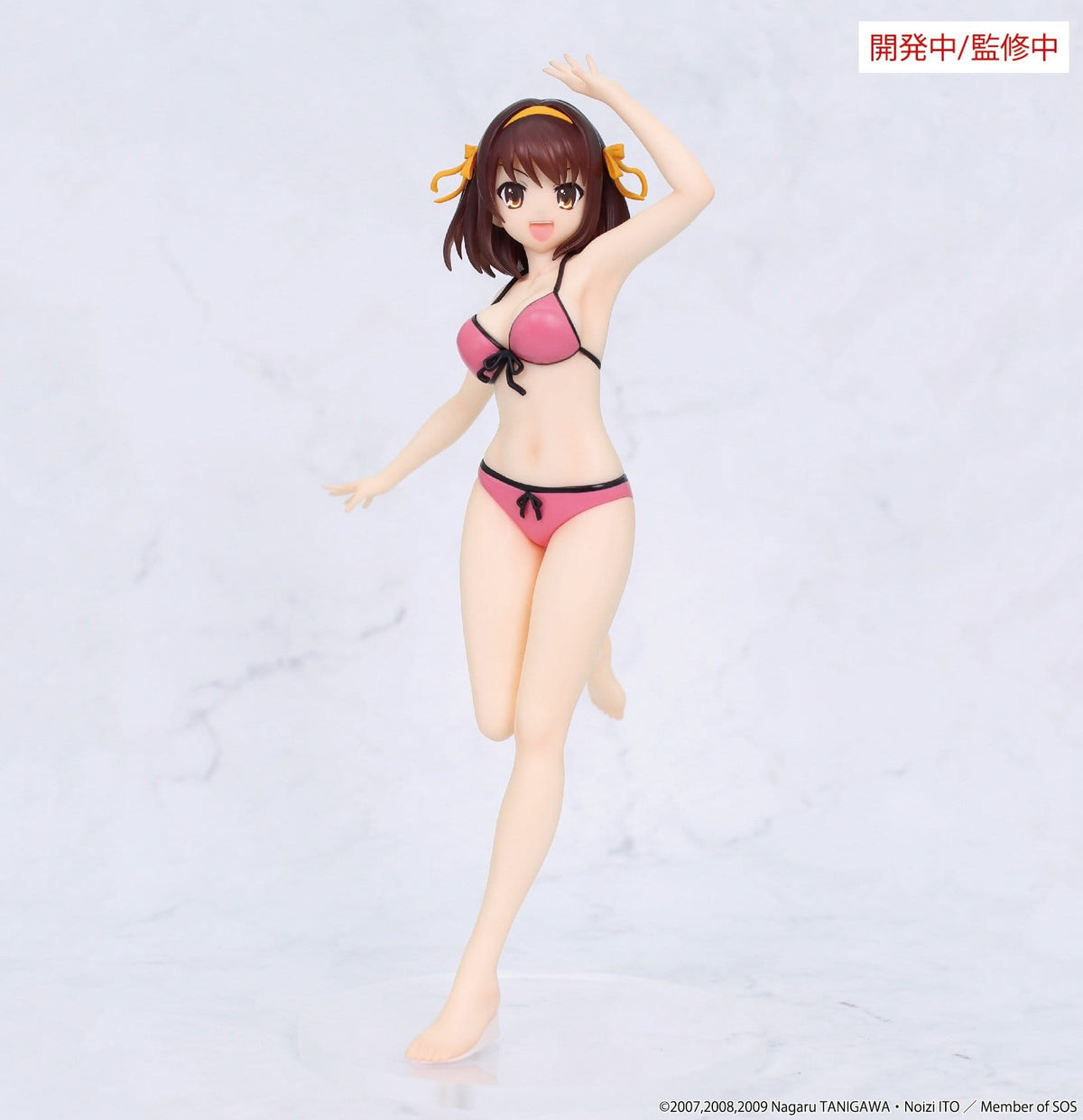 The Melancholy of Haruhi Suzumiya - Haruhi Suzumiya Vivit - System Service Prize