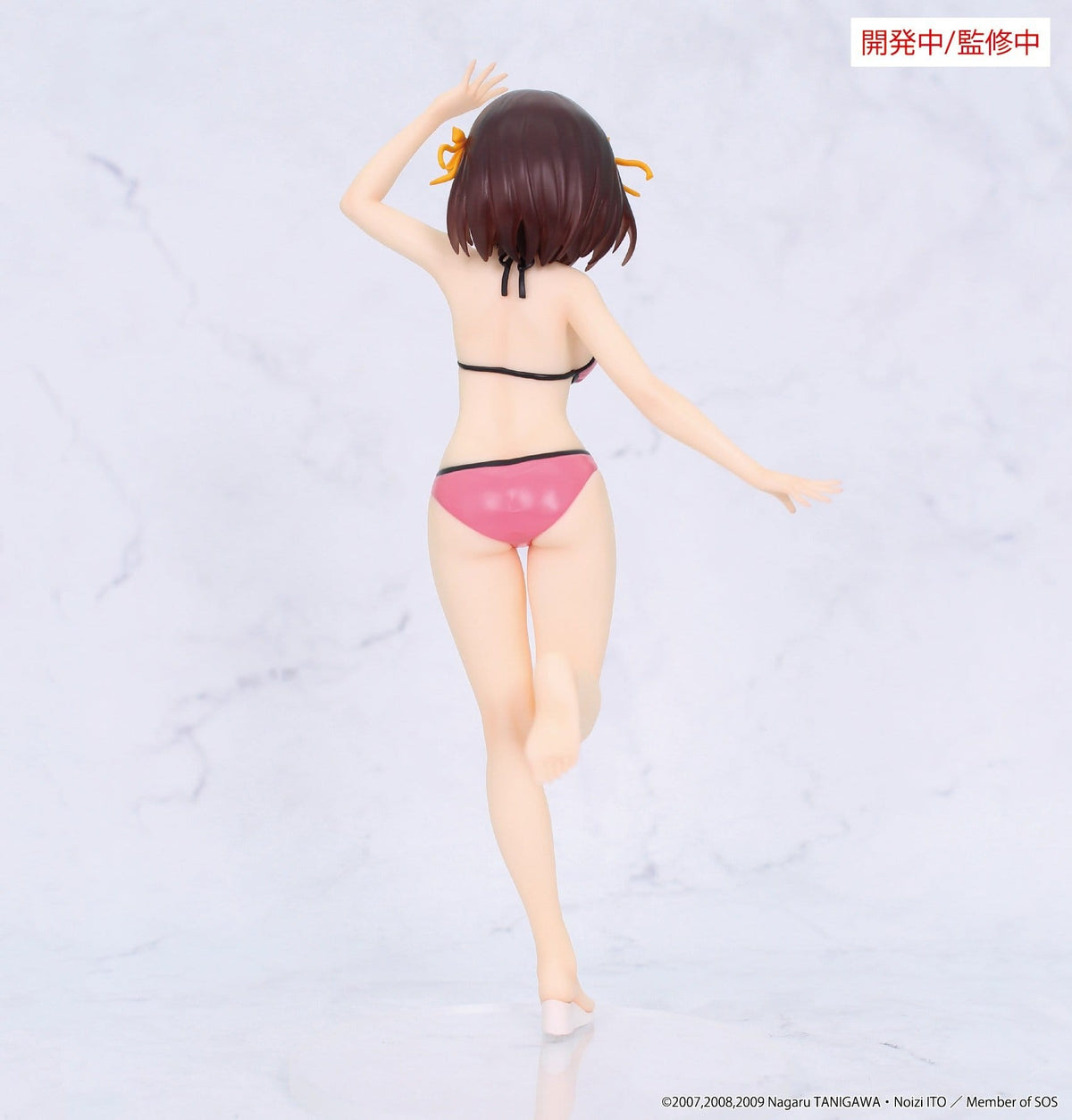 The Melancholy of Haruhi Suzumiya - Haruhi Suzumiya Vivit - System Service Prize